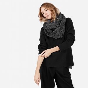Everlane Chunky Wool Infinity Scarf